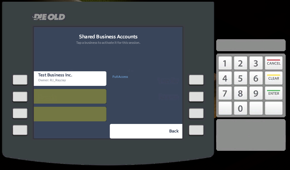 Shared Business Accounts