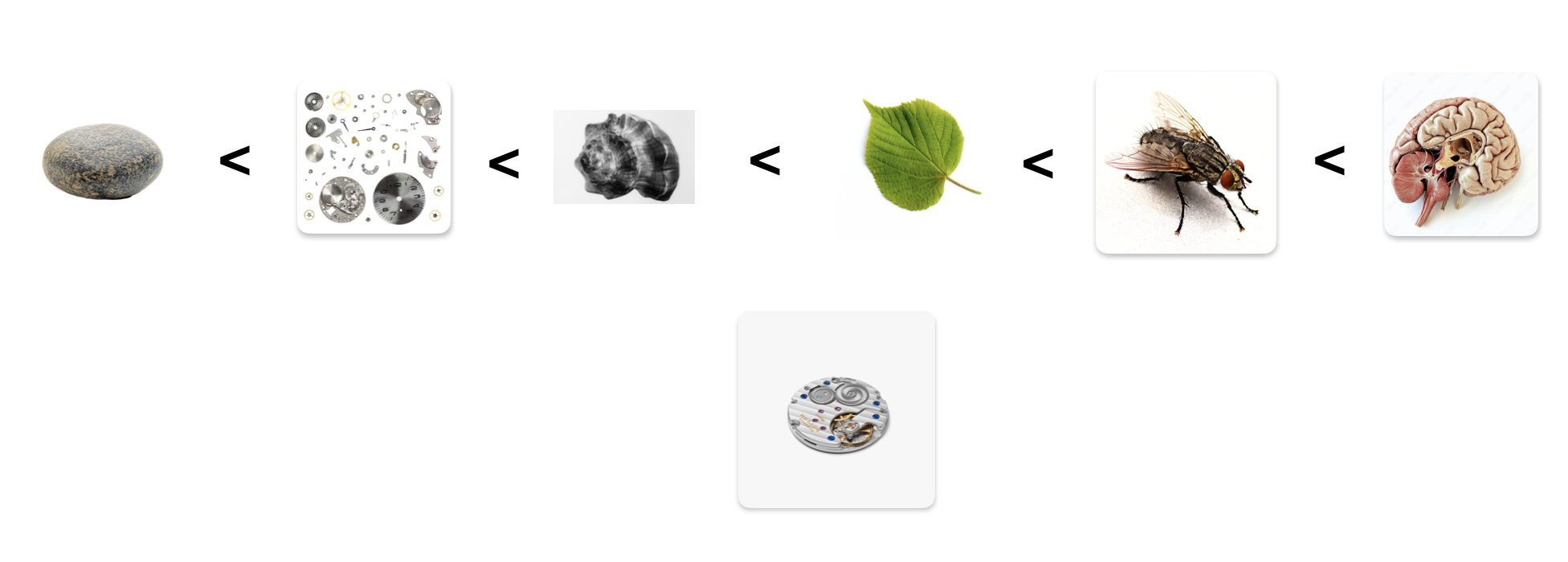 b9b50e0eada4a3fa5160b6338dea7f8b.png