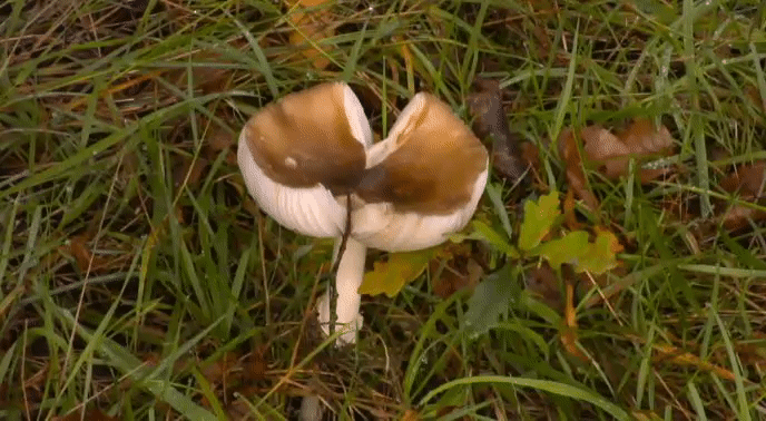 b9c20db45a897fcee291dc12de2ee051.gif