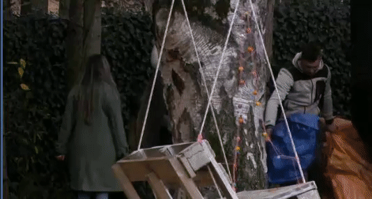 b9c2df721ed74ca3c1070cc48e138835.gif