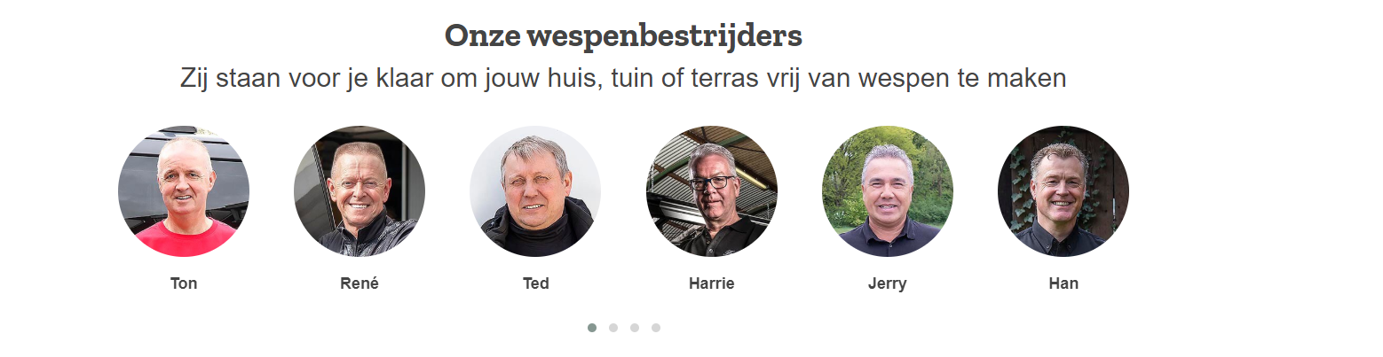 Alles over wespen en steken