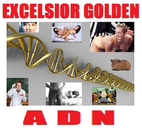 b9f0b55a7e3f898a3344d4d852607e71.png