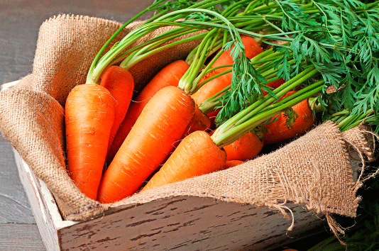 beneficios zanahorias