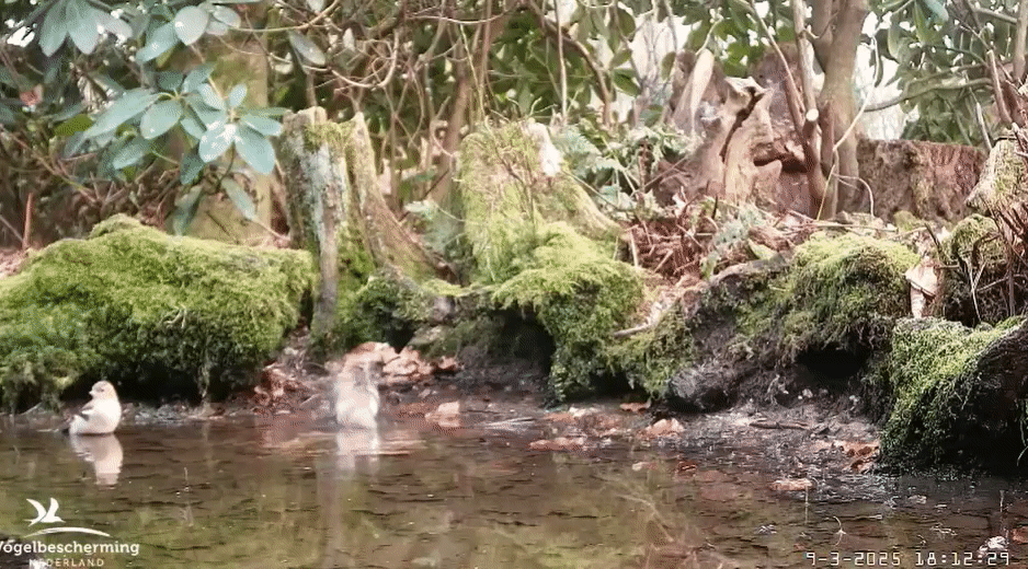 ba710771e4c9c39a9cd8fe1dace8dce8.gif