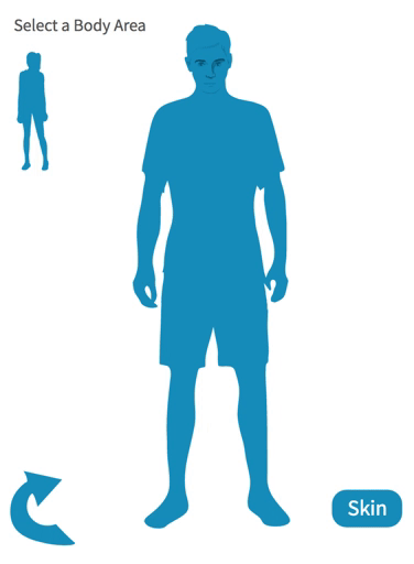 Male Homunculus