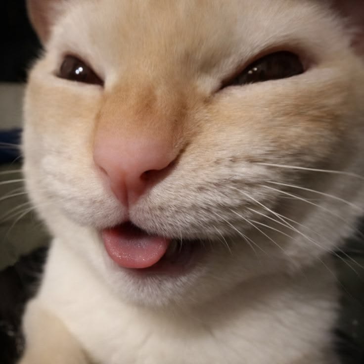 LOGOTOTO : Platform Penyedia Provider Toto Slot Terlengkap Dan Bandar Toto Togel Terpercaya - WooCommerce eCommerce