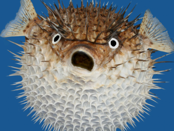 bbd198a4d4c1ee435de74782e02b27c2.png