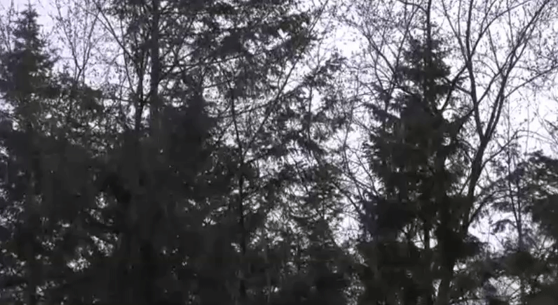 bc929f45a0ec939c163262a13687be9b.gif