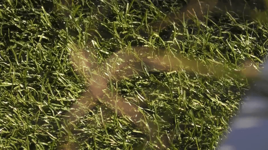 bcadf10e3654d1f2c227c95fcc112aff.gif
