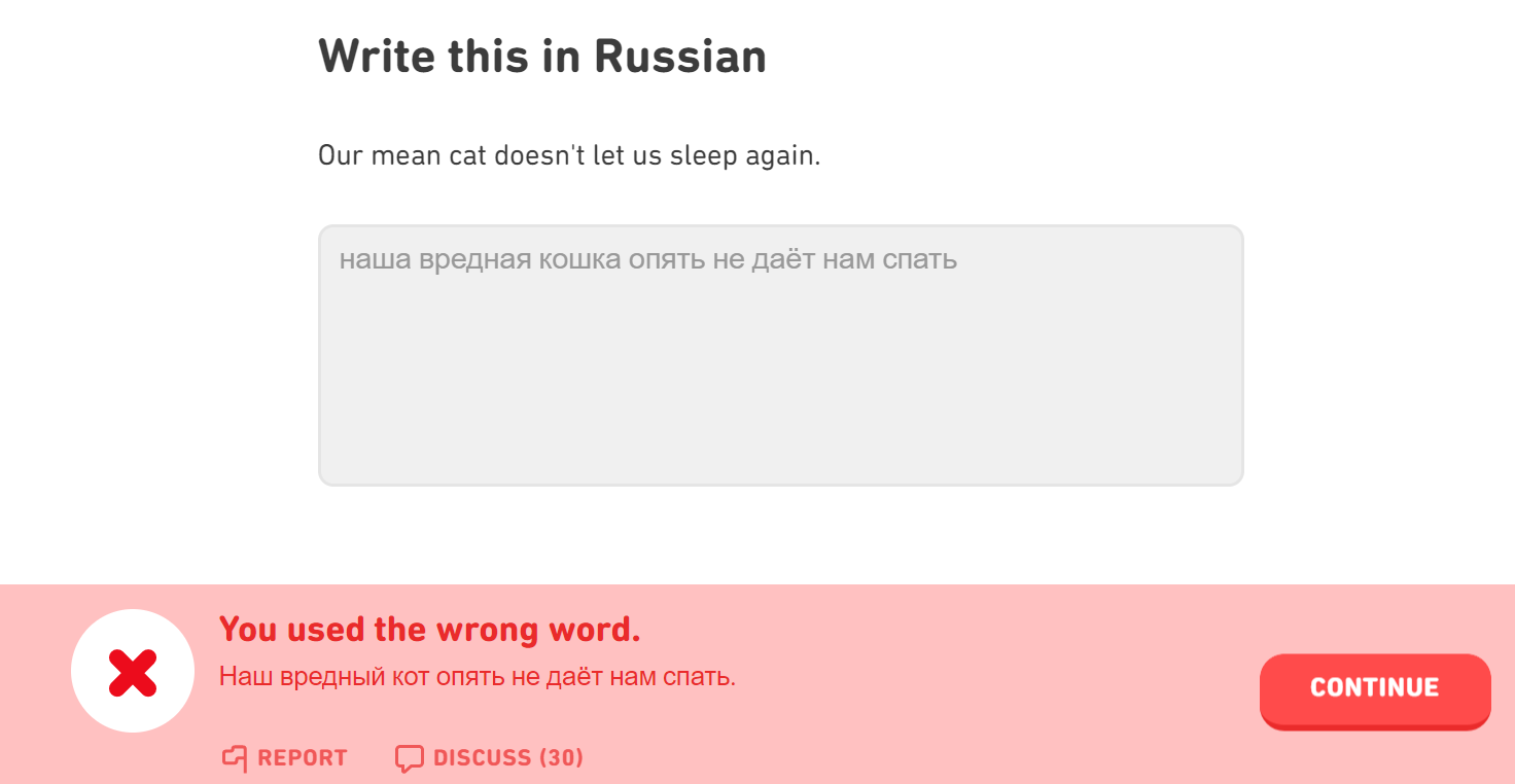 Is duolingo sexist towards cats or did i make a mistake Duolingo