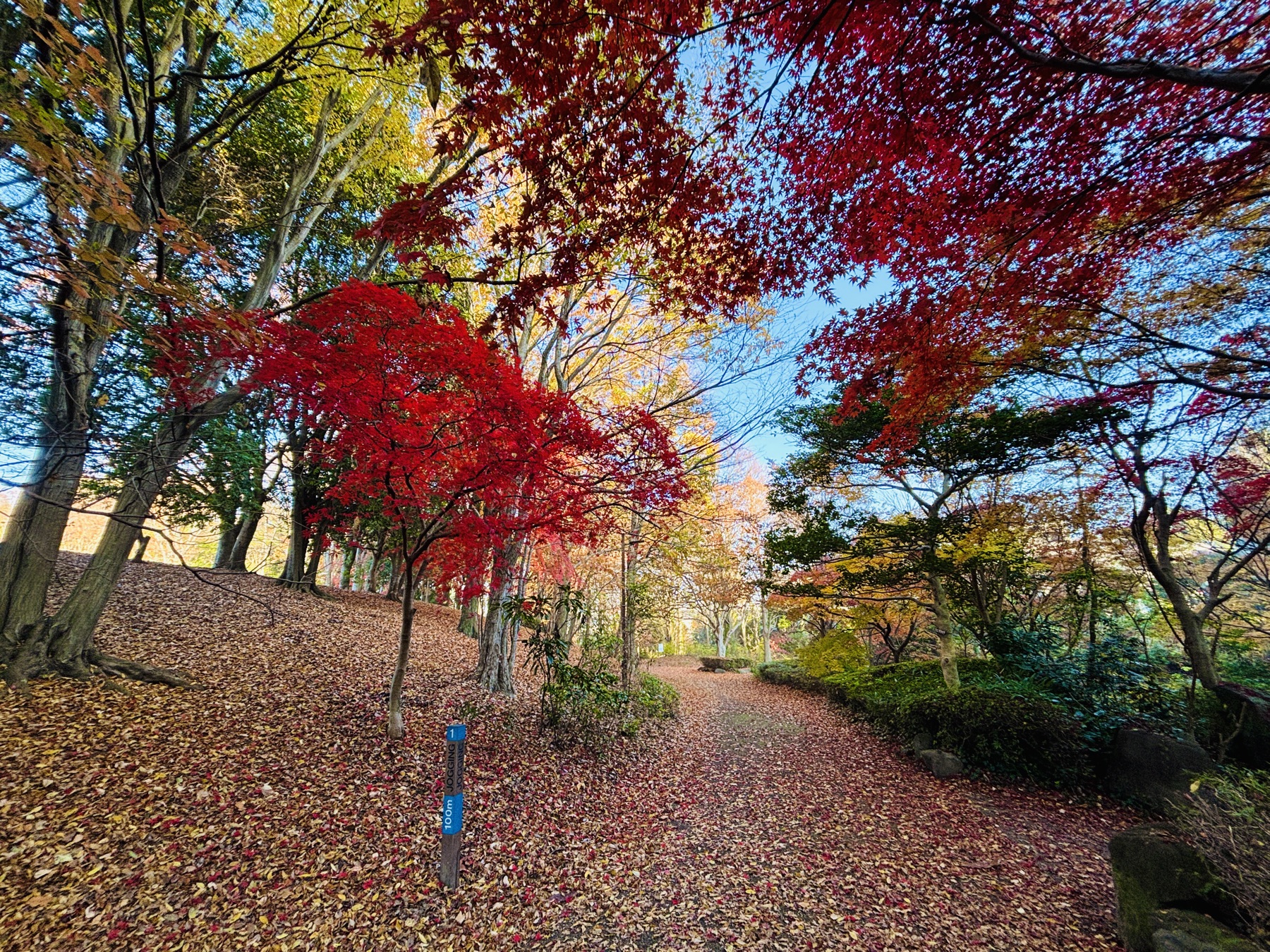 20251128 驚くほどその一行だけです。