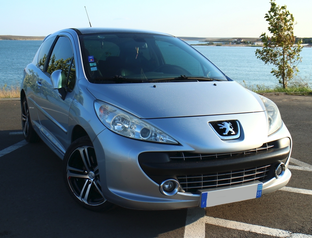 Peugeot 207 Affaire (Commerciale) - Féline