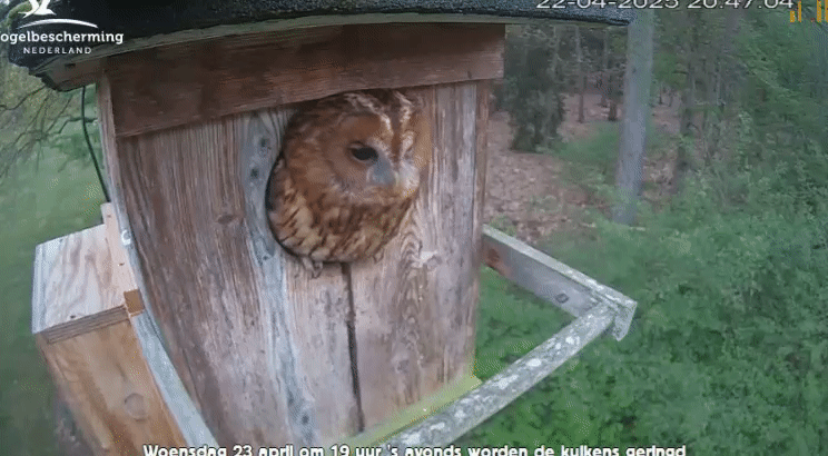 be2c02b5c74fabf14445a1d44d94fc34.gif
