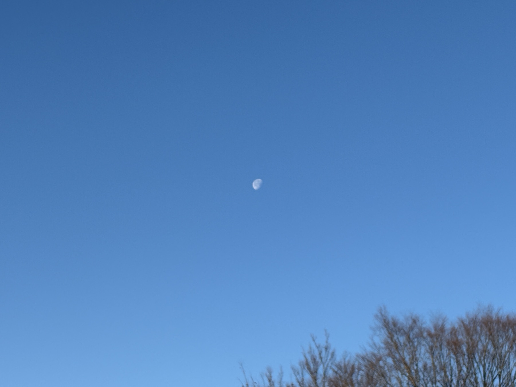 20260108 朝に見える月