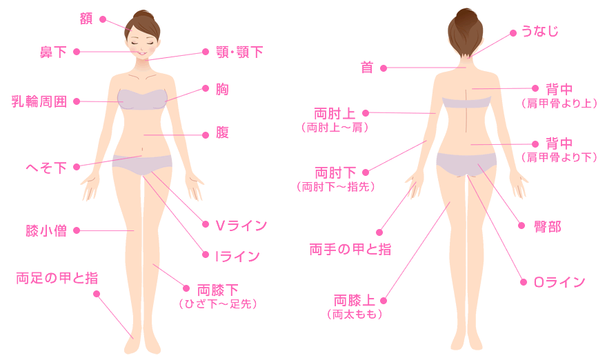 湘南美容クリニック脱毛範囲 湘南美容クリニック脱毛範囲