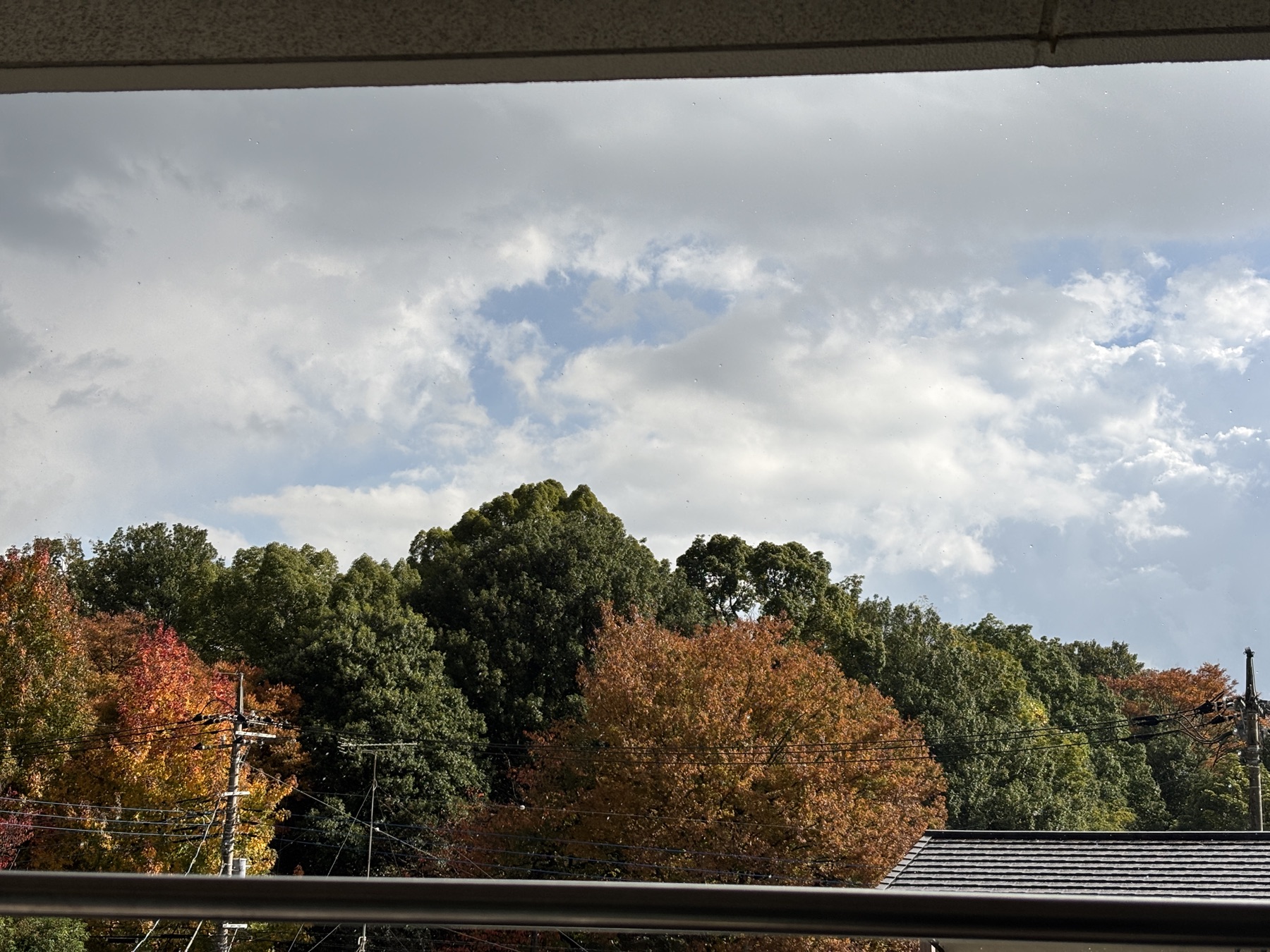 20251110 そんな日があっても良い