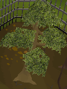 Skilling Guide: Woodcutting C05c6e46c07e85ca09c85462bb23bf22