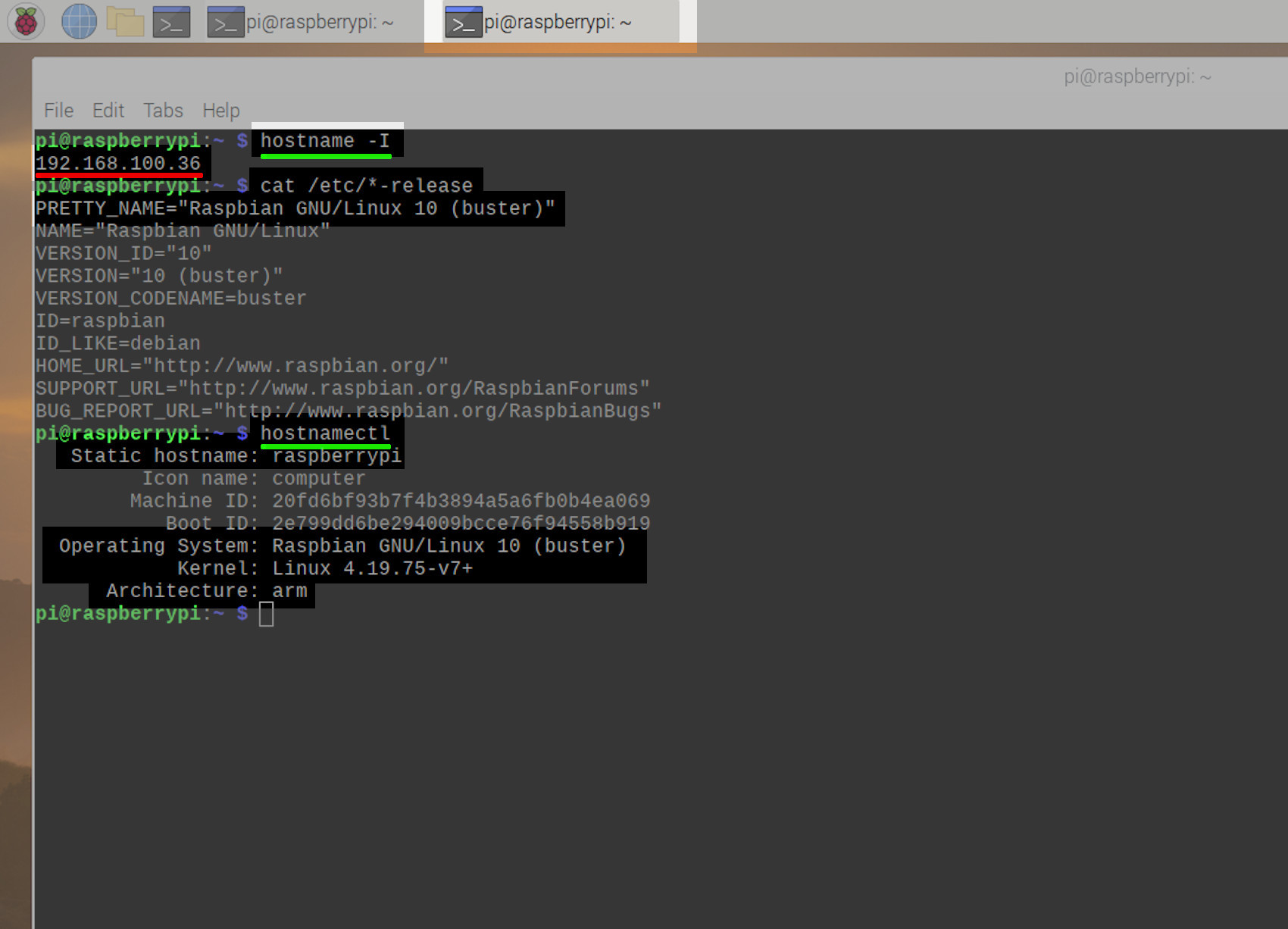 Screenshot of PostgreSQL Raspberry Pi hostname cat etc release Raspbian version