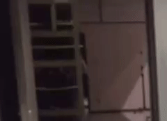 c19af91af5497d6a840a35556807fabe.gif
