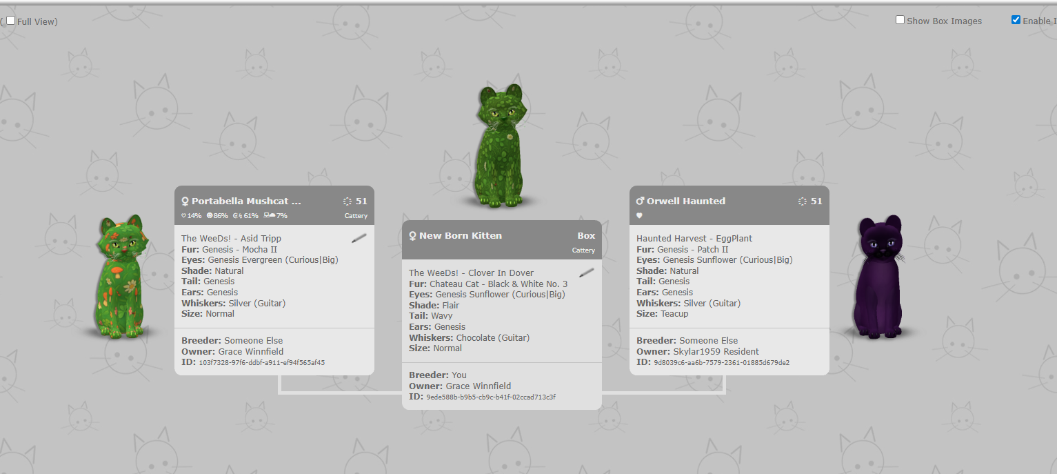 [Image: c20e886d64986d01da609817add9cf1c.png]