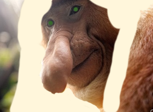 c28c33c071f3bcbbf0ac7b1435e8739a.png