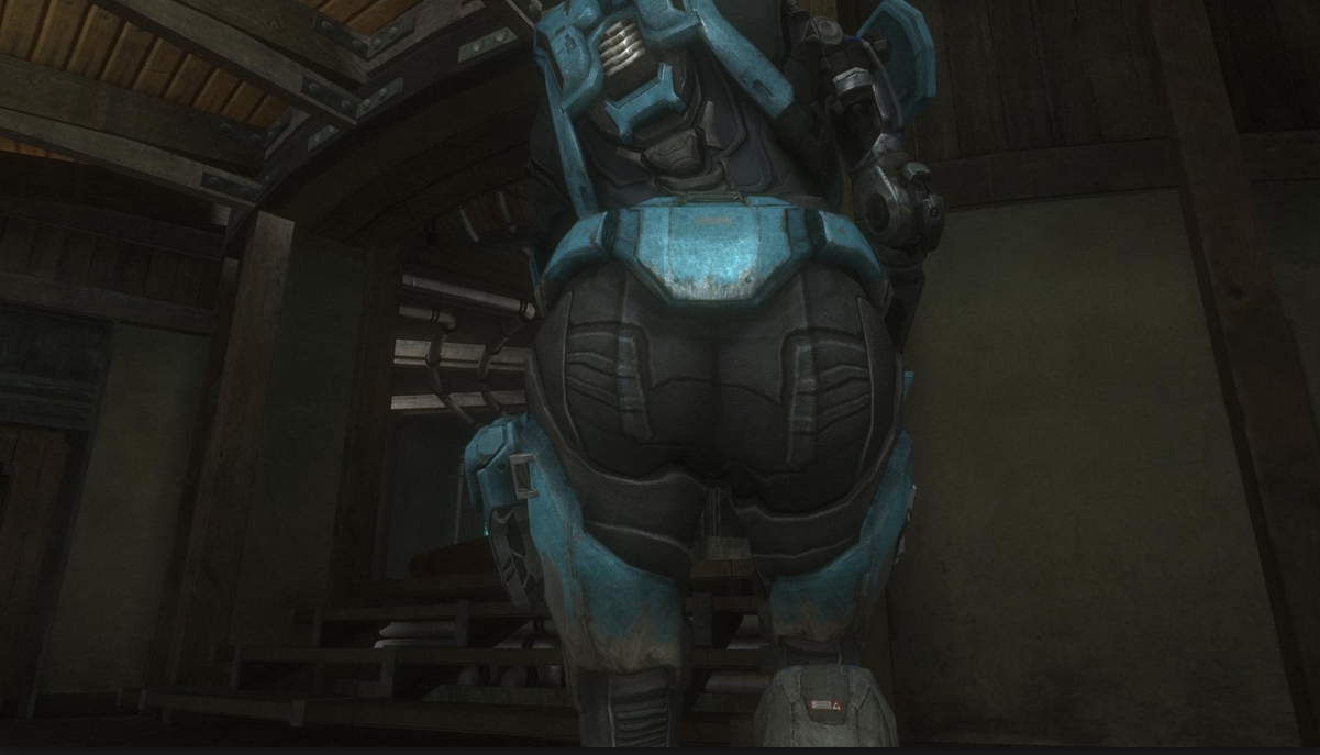 Halo Reach has great booty. 