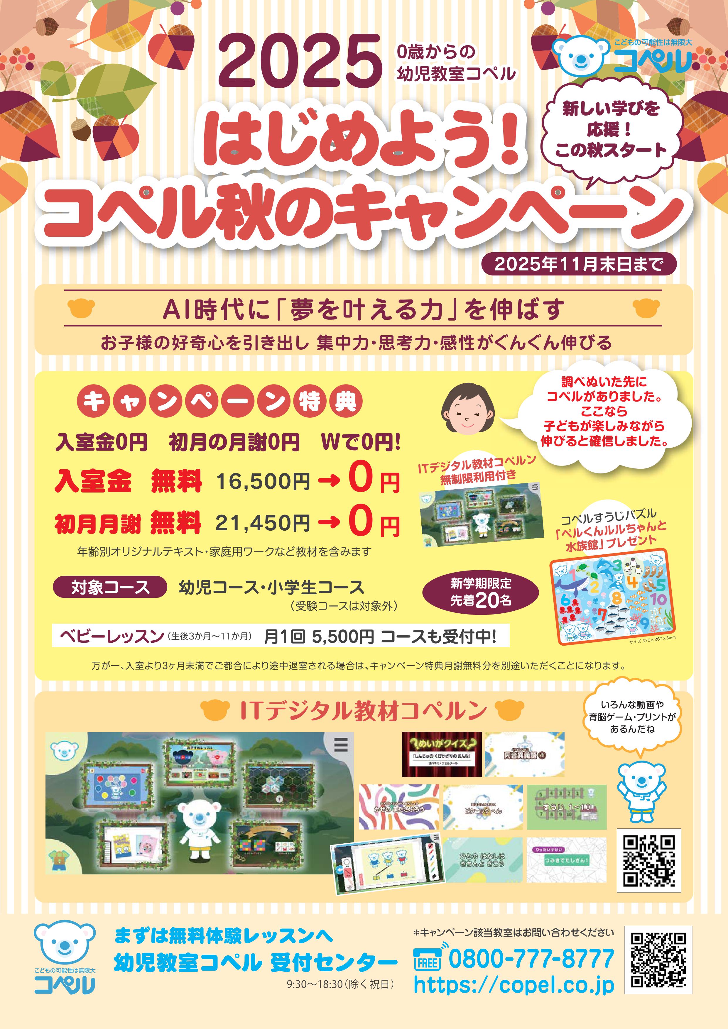 幼児教室コペル　プリントD(年中から年長向け) 幼児教室コペル プリントD(年中から年長向け) Z会幼児コース年