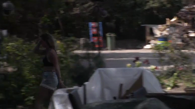 c3a6fdbfed9ed024f86164de9a377a96.gif