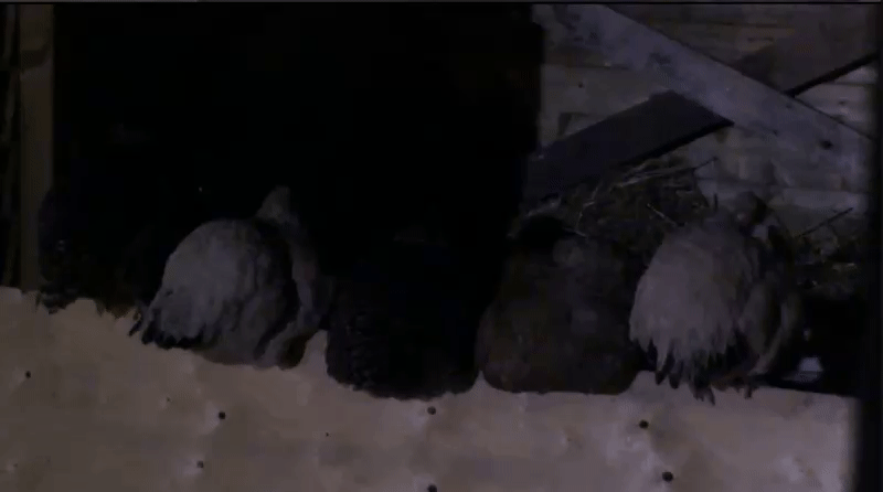 c3bc8b9dee7ba90724fcdd464264b072.gif