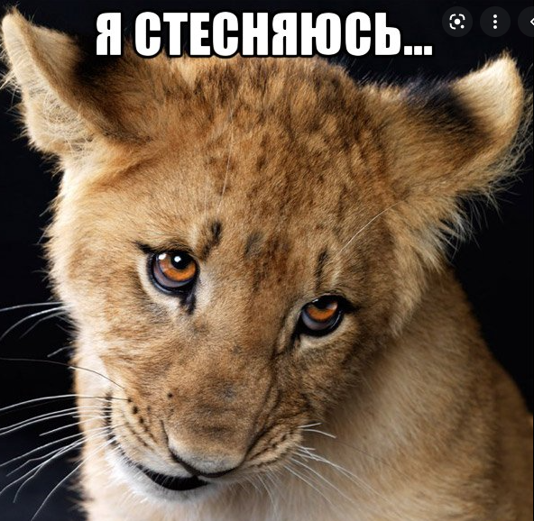 c4276178838ee71689b70a5bc8bb4775.png