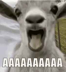 c4cd8c4b2f41580e4bafa22868d57b10.gif