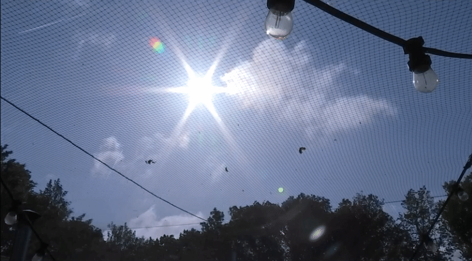 c4eb504790a59405c14252629f7da0e0.gif