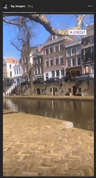 c5613f9cb1f146784d9ade1f48a5cf50.gif