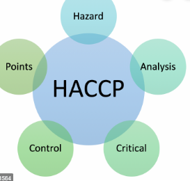 Importance Of Haccp In The Food Industry – Lord of the Flies