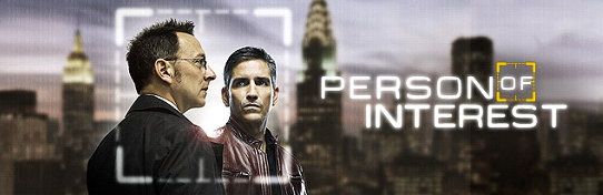 Mi particular ANALISIS de Person Of Interest
