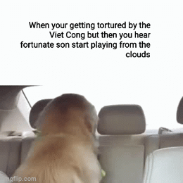 c5f5c4df6c685e695ed6bcc2931da15b.gif