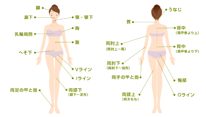 湘南美容クリニックの脱毛範囲画像 湘南美容クリニックの脱毛範囲画像