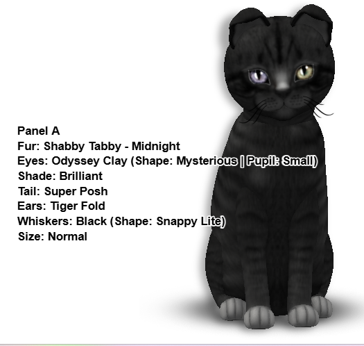 [Image: c69432a6a922dfe5dbc1adade8aaee90.png]