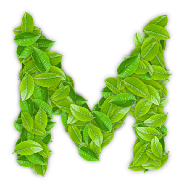 stellinishoes.pages.dev favicon