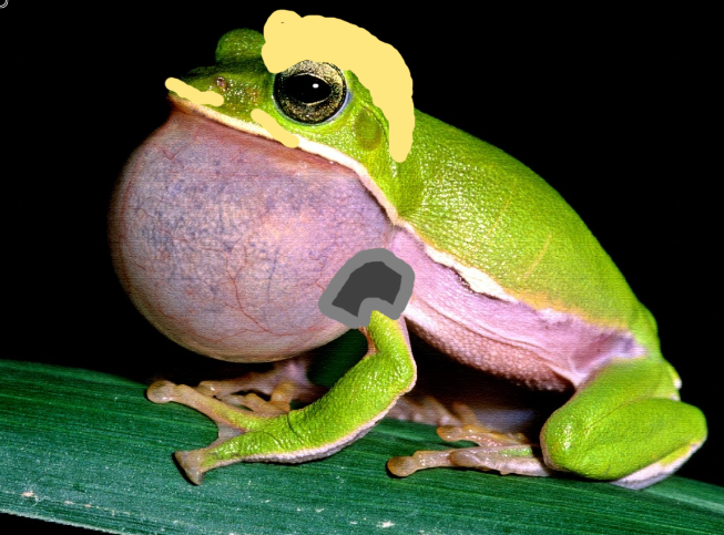 c6b71859fc057b301f0fa1e7d0468249.png