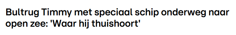 c6c9b0bec51c34da2ed3f0042d195890.png