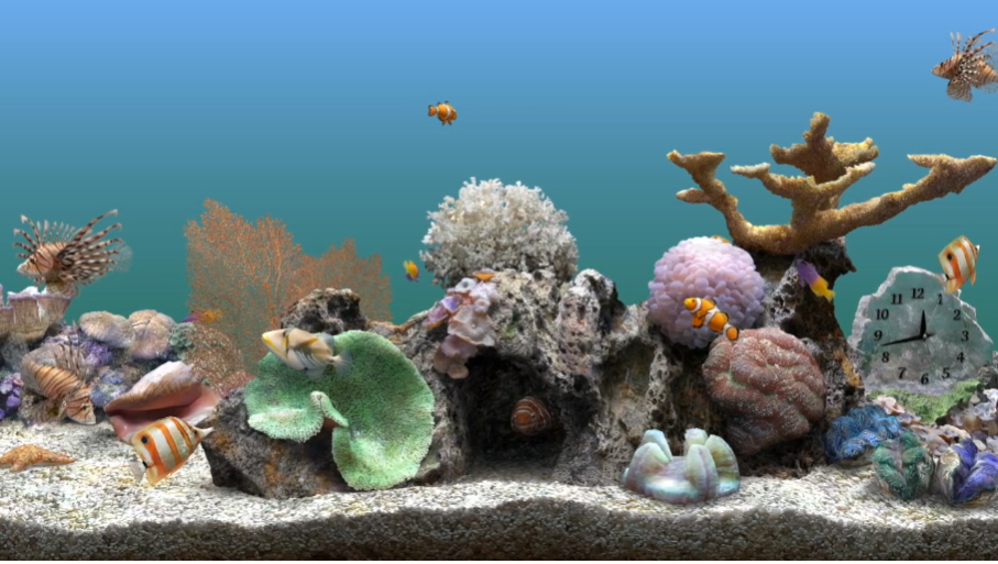 marine aquarium 3