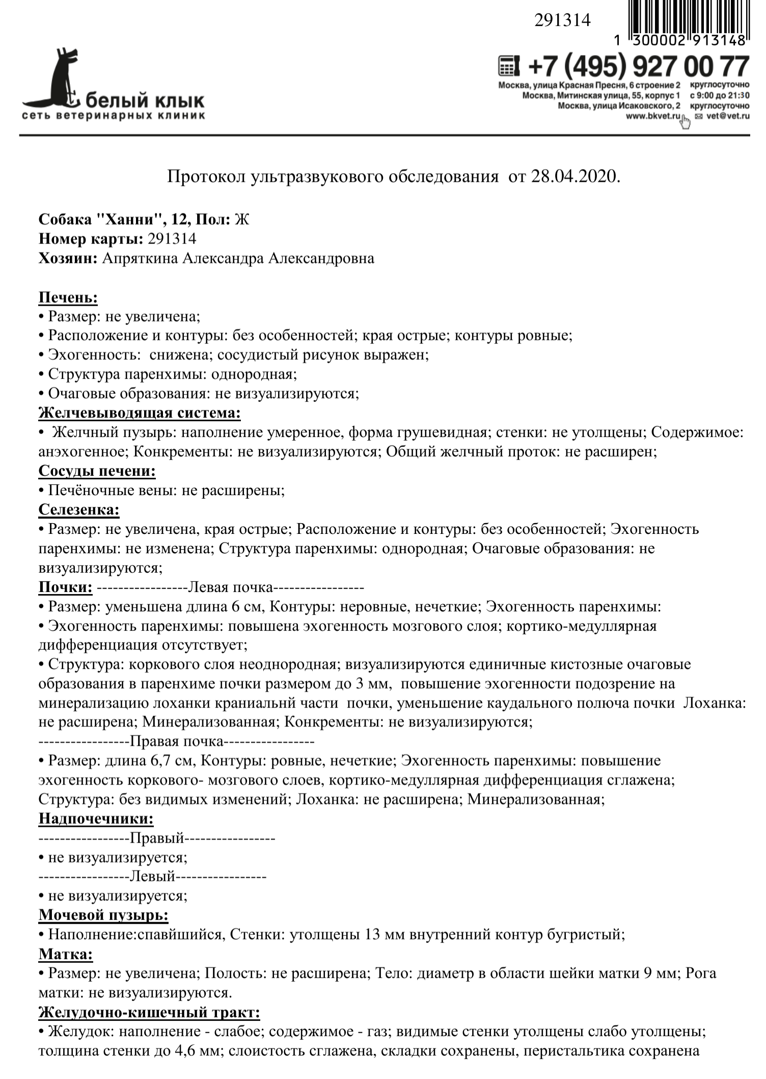 Сладким девочкам Лизе и Ханни навсегда 11 и 13 лет... В теме минус 244 тыс.  руб - Страница 16 - Мемориал - Лабрадор.ру собаки - ретриверы