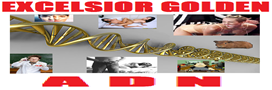 c6eb2980594ecd614676b38db6caa98f.png