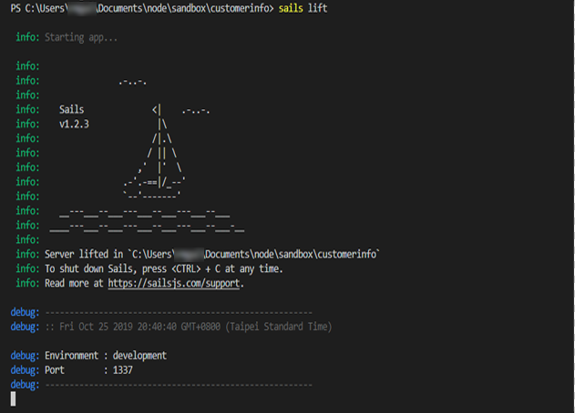 image shows sailsJs server was started via command line