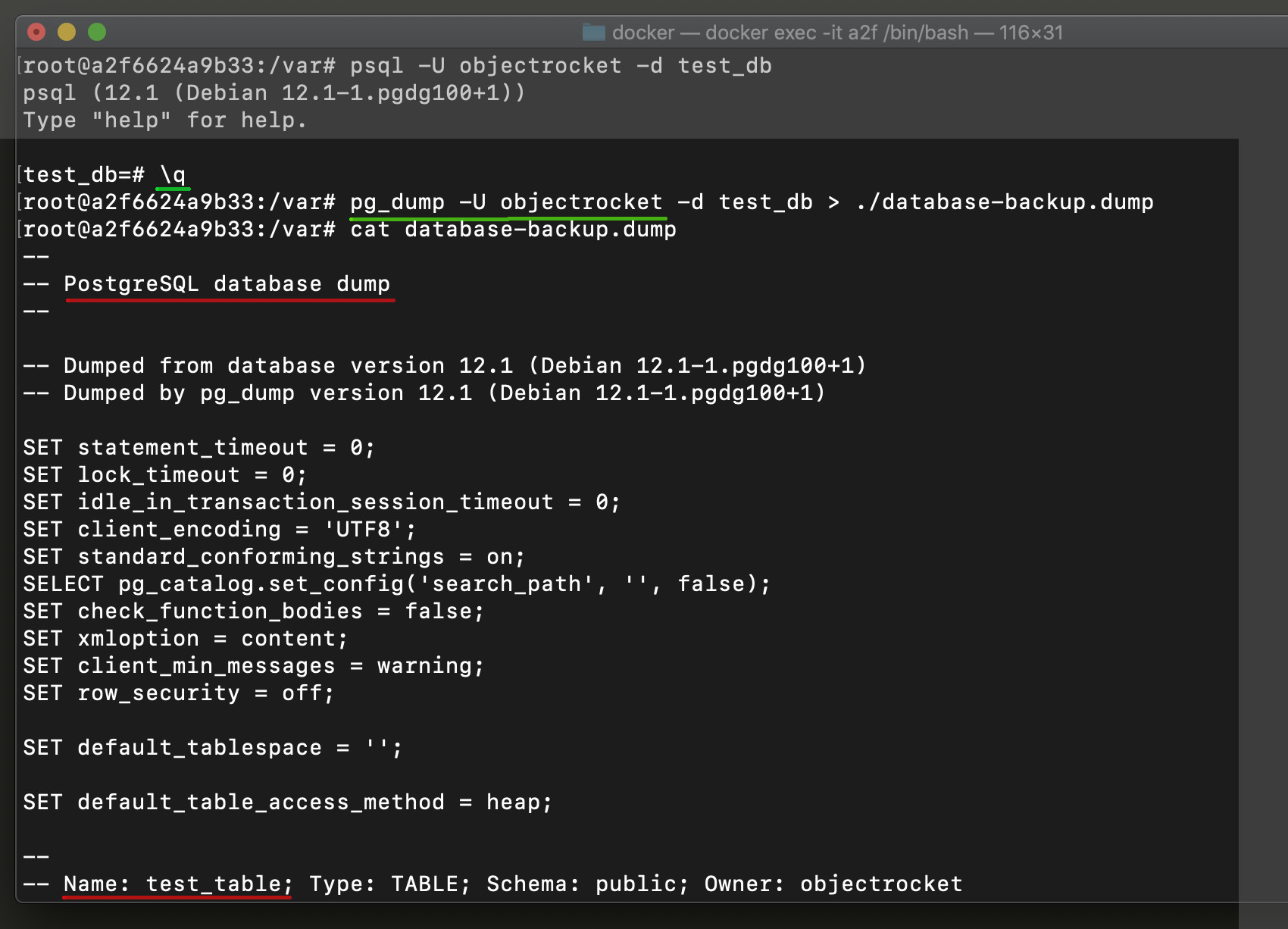 Screenshot of pg_dump PostgreSQL backup restore dump file