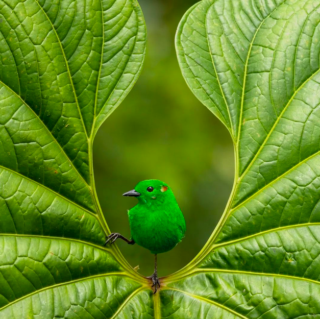 c8249df398a614b7fa0ec54b1e9f20b9.png