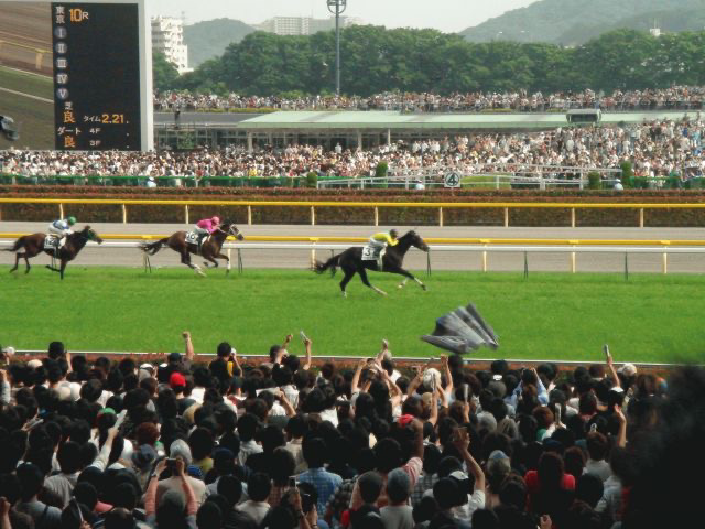 競馬好きが日本ダービー現地観戦の思い出を語っていくぜ！ - ごまだれ