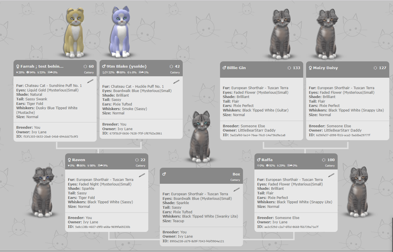 [Image: c88871be20953d216ac34458bf827812.png]