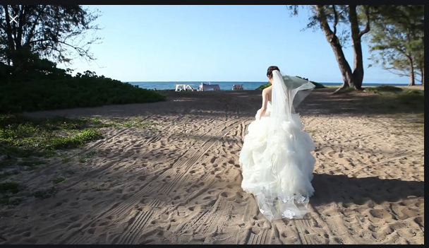 Here You Will Find Your Ideal Hawaii Wedding Videographer